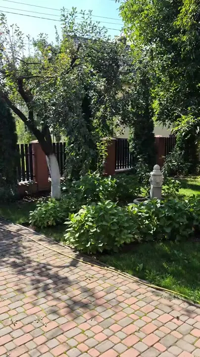 Будинок біля парку